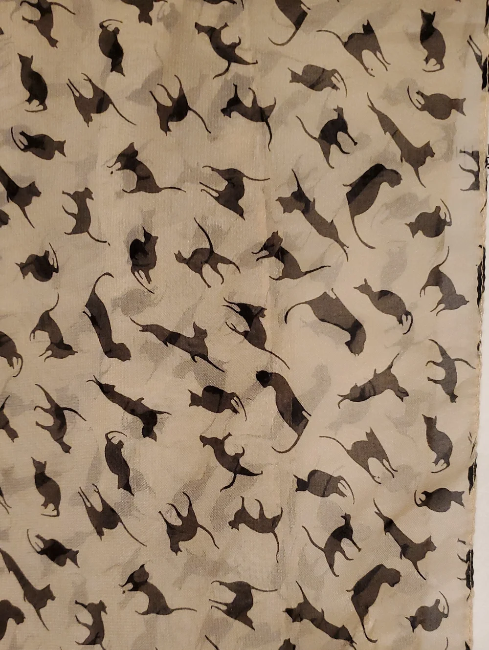 Cat Print Soft Beige Scarf 60inx24in Whimsical Goth Halloween